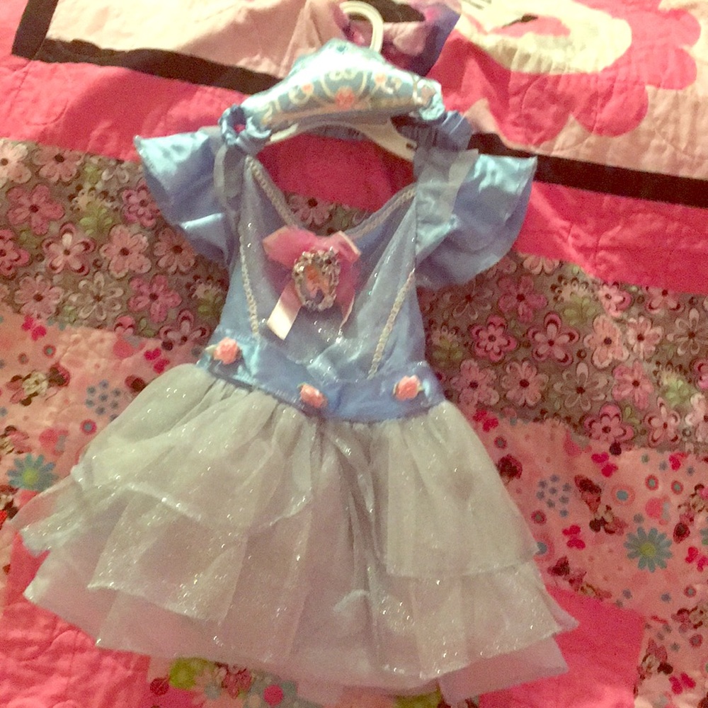 Cinderella costume with padded soft crown.